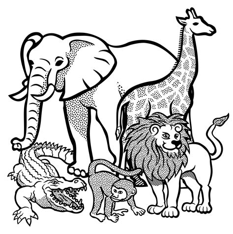 animal clipart outline|More.